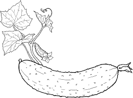 Free educational coloring pages and activities for kids. A Cucumber Coloring Page Free Printable Coloring Pages For Kids