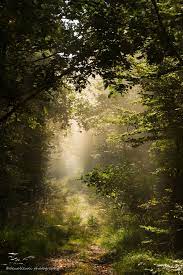 The Way To The Light Beautiful Nature Nature Photography Nature Pictures