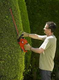 Black And Decker Pole Hedge Trimmer 40v Black Decker 500w 55cm Hedgetrimmer With 22mm Blade Gap Amazon Co Uk Diy Tools Black Decker Gardening Tool Kit Hedge Trimmers