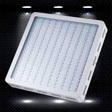 You will get viparspectra 1200w led grow light review of 2021. King 1200w Led Grow Light Review Your First Step To Modern Horticulture
