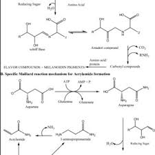 Pdf Reducing Acrylamide Exposure A Review Of The Application Of Sulfur Containing Compounds A Caribbean Outlook