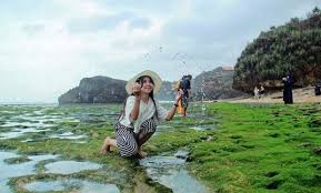 Paket wisata biasanya memiliki jangka waktu tertentu. 10 Gambar Pantai Kukup Beach Jogja Tiket Masuk Sejarah Lokasi Alamat Wisata Jejakpiknik Com