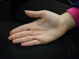 Vous parlez lentement à voix basse, laissant de longs silences. Decouvrez Votre Avenir Grace Aux Lignes De La Main