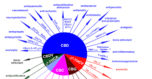 Matt Sands Cannabis Is Medicine Decarboxylation And