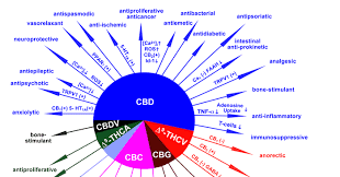 matt sands cannabis is medicine decarboxylation and