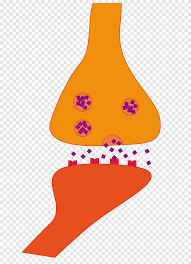 Learn how this happens and what to do about it. Neurotransmitter Png Images Pngegg