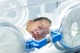 Virginia Birth Injury Fund Investigated After CFO Embezzlement