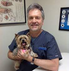 Maybe you would like to learn more about one of these? Staff Veterinarian In Arlington Tx Arlington North Animal Clinic