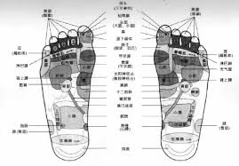 Reflexology Chart Of The Feet Download Scientific Diagram