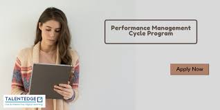 Pin On Business Analyst Certification