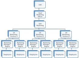 20 Scientific Starbucks Organizational Structure Chart