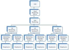 20 Scientific Starbucks Organizational Structure Chart