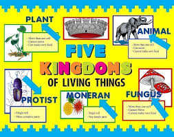 Make A Science Fair Project Poster Ideas Five Kingdoms