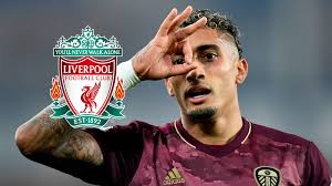 Get all the breaking liverpool fc news. D5hg1yli0o2xwm