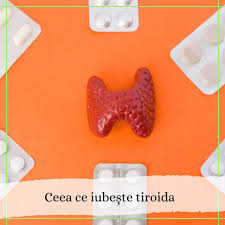 O glanda de maximum 30 de grame controleaza toate reactiile si procesele chimice din organism pentru ca adesea functionarea este. IntreabÄƒ Medicul Endocrinolog NutriÈ›ionist Dr Esanu Natalia Centro Medico Chisinau Facebook 219 Fotos