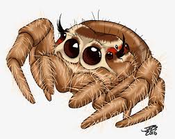 Collection of superheroes coloring pages in excellent quality. Cute Jumping Spider By Prodigyduck On Deviantart Jumping Spider Coloring Page Free Transparent Png Download Pngkey