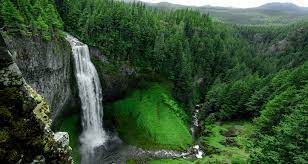 You can set it as lockscreen or wallpaper of windows 10 pc, android or iphone mobile or. 500 Waterfall Images Stunning Download Free Pictures On Unsplash