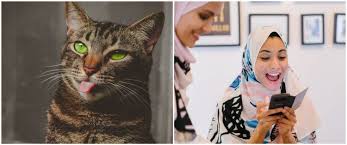 The latest official version has been installed on 100,000+ devices. 111 Tebak Tebakan Nama Hewan Receh Abis Dan Auto Ngakak