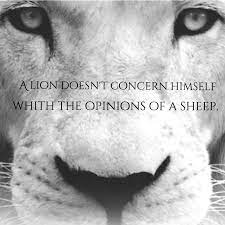 A Lion Doesn T Concern Himself With The Opinions Of A Sheep On We Heart It Lion Quotes Wolf In Sheeps Clothing Quotes People Sheep Quote