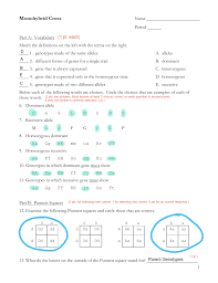 Monohybrid cross worksheet answers key. Monohybrid Cross Activity Sheet Key