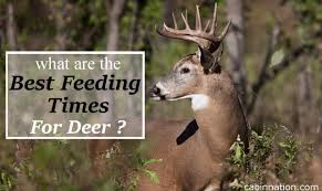 47 thorough deer feed chart