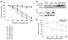 mesothelioma has invaded the chest wall or involves the esophagus (food passage connecting the throat to the stomach, heart, or pleura on both sides. Sensitivity To Epidermal Growth Factor Receptor Tyrosine Kinase Inhibitor Requires E Cadherin In Esophageal Cancer And Malignant Pleural Mesothelioma Anticancer Research