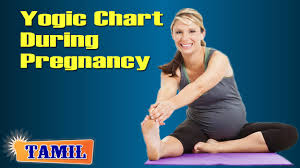 Yogic Chart During Pregnancy Yoga Pose Treatment Diet