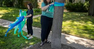 Star Tribune - News update