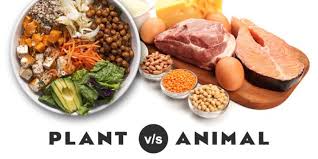 Protein tinggi mampu menurunkan tekanan darah, melawan diabetes, dan lainnya. Mengenal Perbedaan Protein Hewani Dan Protein Nabati Sfidn Science From Indonesia Articles