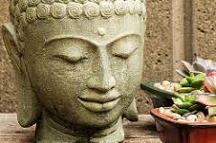 The Differences Among Mindfulness, Flow, and Hypnosis