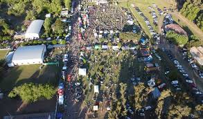 Notícia | Notas Del Mar - 15° EXPO VIVERO CAZÓN: LA PRIMAVERA FLORECE ENTRE UN MILLON DE ARBOLES