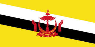 Click the malaysia flag coloring pages to view printable version or color it online (compatible with ipad and android tablets). Flag Of Brunei Image And Meaning Brunei Flag Country Flags