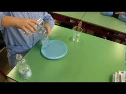 Benvenuti in esperimenti di scienze, il diario digitale creato e gestito dalle classi quinte dell'anno scolastico 2009/2010 della scuola primaria pascoli di carpi. Esperimenti Con L Acqua L Evaporazione Viva La Scuola
