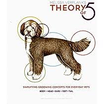 Theory Of 5 2019: Verplank, Melissa: 9781732379718: Amazon.com: Books
