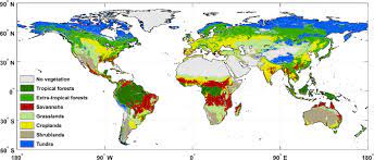 Global Vegetation Biome Map With Eight Classes Based On The Modis Igbp Download Scientific Diagram