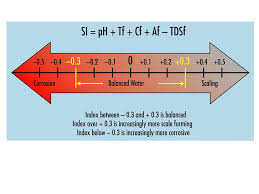 Swimming Pool Basics Dave Thompson Ppt Download