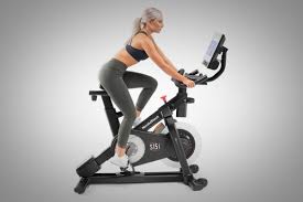 It has a comfortable looking seat with support for the back and. Best Peloton Alternative 2021 Top Indoor Exercise Bikes Zdnet