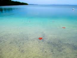 Isla colón among the best islands in the world to retire. The Ultimate Guide To Bocas Del Toro This American Girl