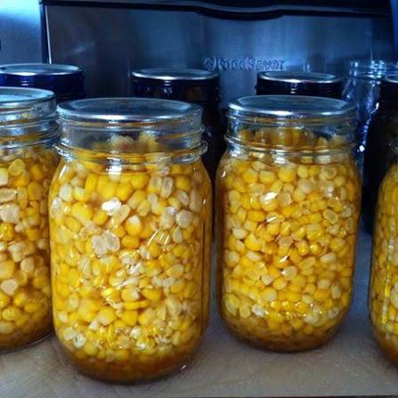 Canned Sweet Corn Tin SKUs Wholesale