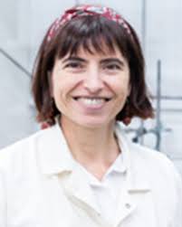 Self-assembled molecules as selective contacts for efficient and stable  perovskite solar cells