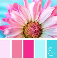 Color Palette 0005 Pink Flower Color Palette Pink Color Palette Bright Color Palette Design