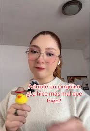Adopción de Pingüino: ¿Qué Nombre Le Pondrías?