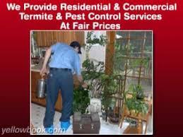 Последние твиты от liberty pest inc. Arab Termite Pest Control Of Cincinnati Oh Youtube