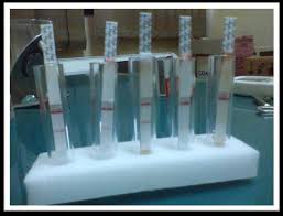 How a nasal swab or saliva sample was collected. Avian Influenza Virus Type A Rapid Antigen Test Using Flu Detect Download Scientific Diagram