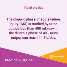 Image result for Urine Output
