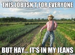 All i really want is a high paying job that lets me wear yoga pants and hoodies to work and only. Work Memes