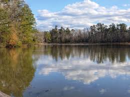 River healing springs blackville sc camping. Barnwell State Park Wikipedia