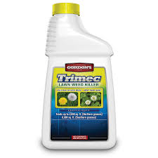 What kind of plant is a black medic? Gordon S Trimec Lawn Weed Killer