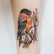 Pin On Bullfinch