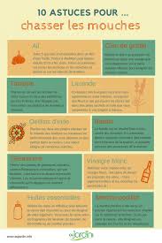 10 Astuces Pour Chasser Les Mouches